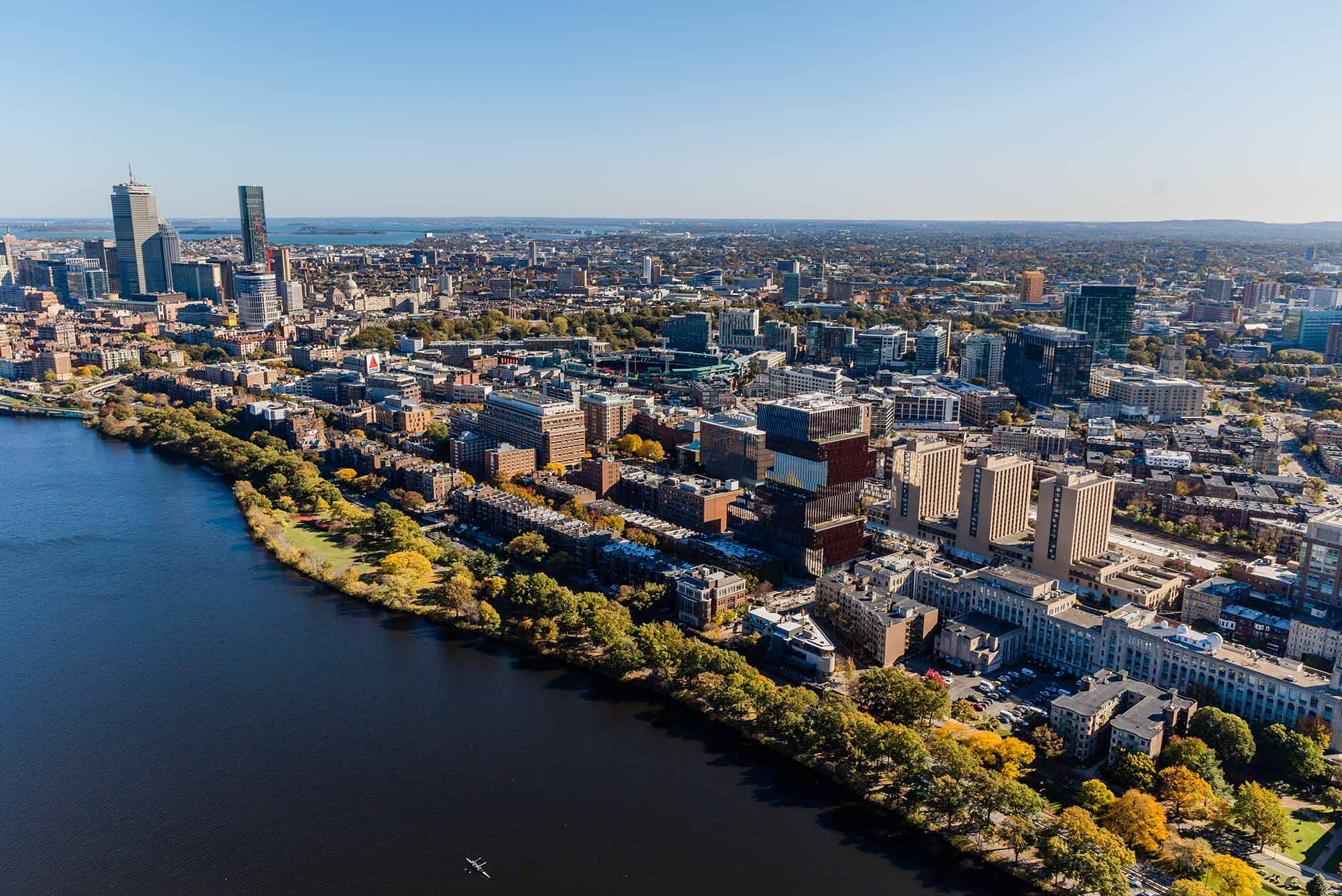 Boston Universities Role in Psilocybin Studies