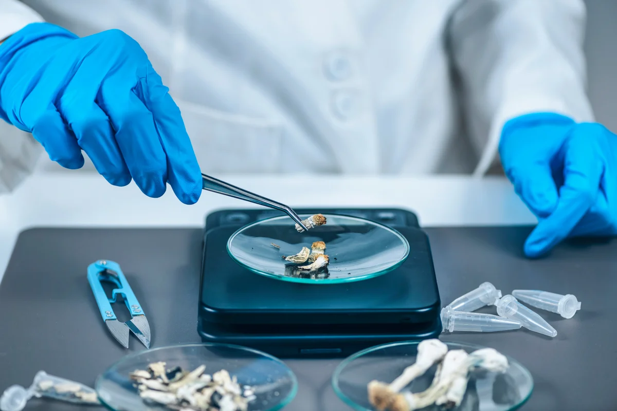 How Psilocybin Moves From Lab to Clinical Trial