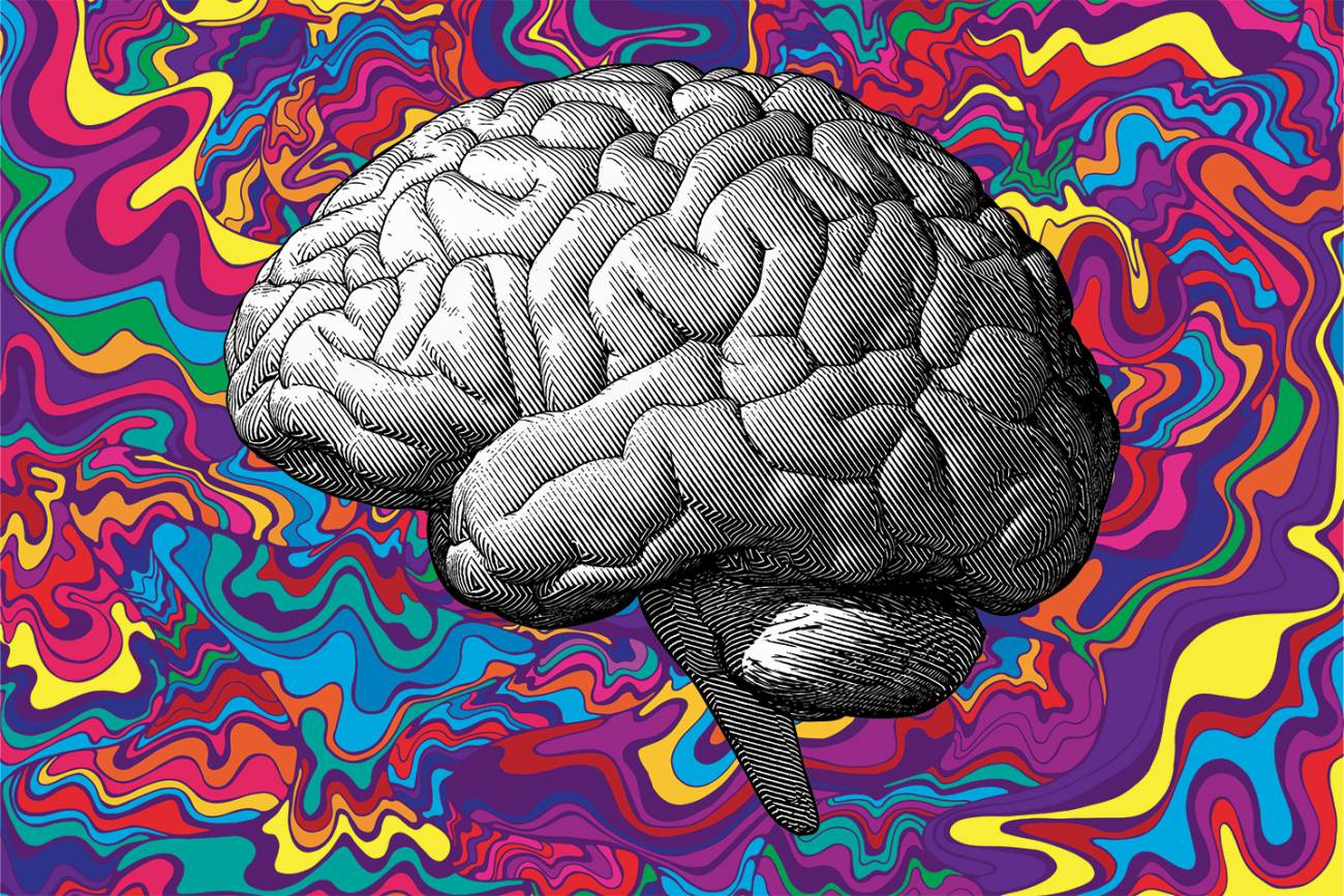 Psilocybin Research Hubs In The United States