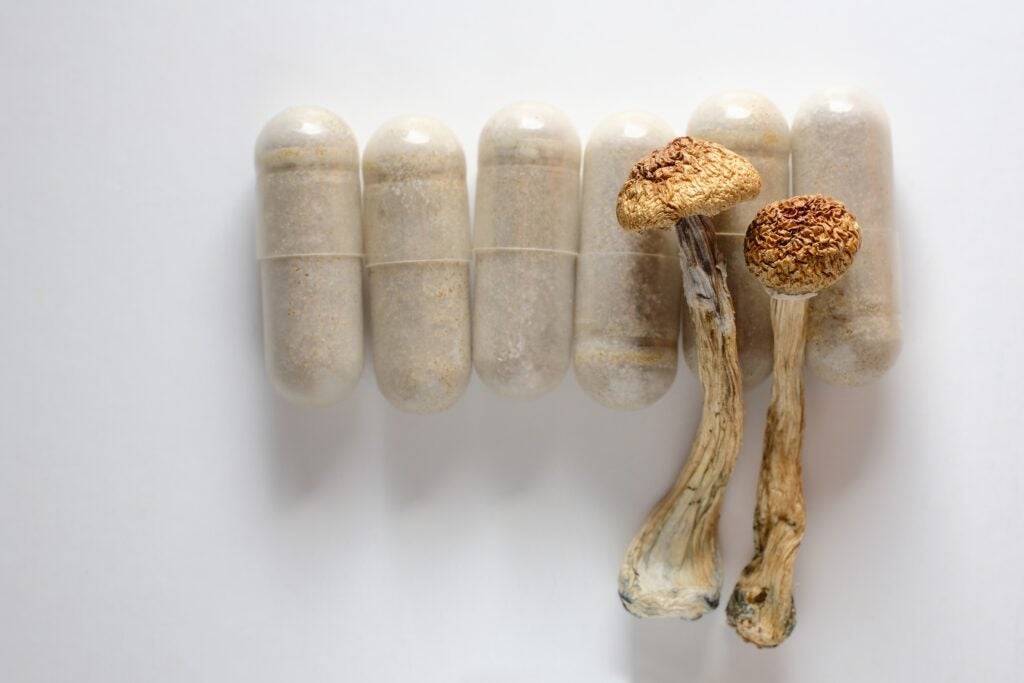 Psilocybin Clinical Trial Supply in Massachusetts