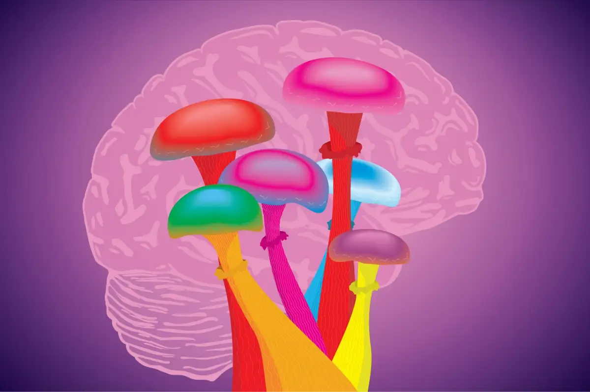 Psilocybin Education and Public Perception in Massachusetts
