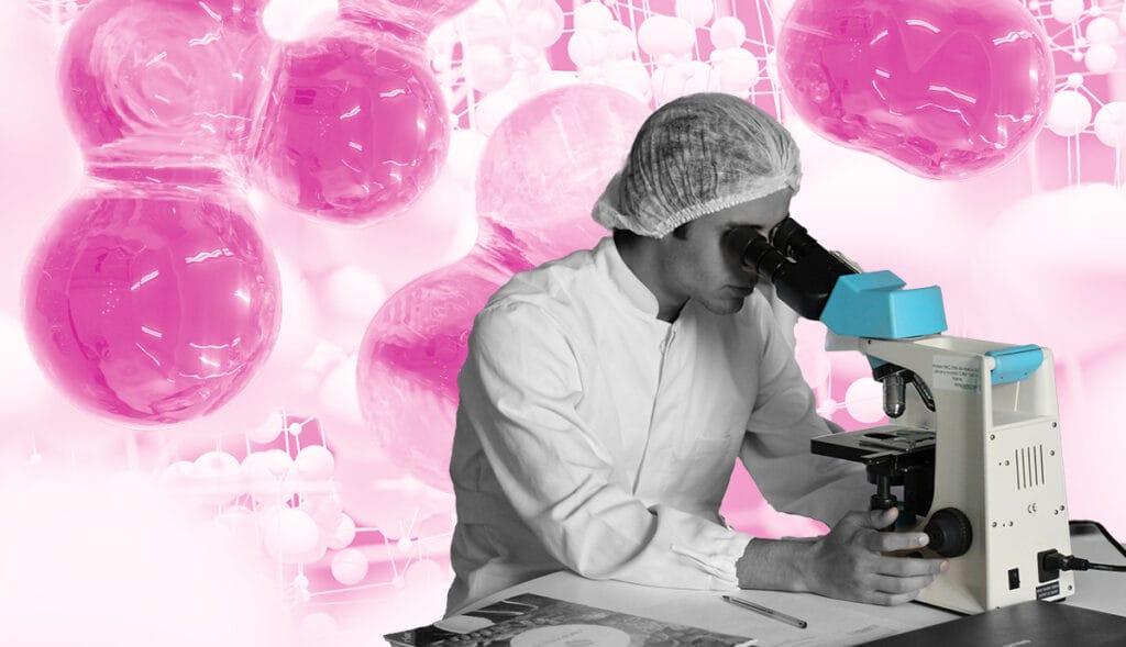 Massachusetts Academic Pathways for Psychedelic Research Careers