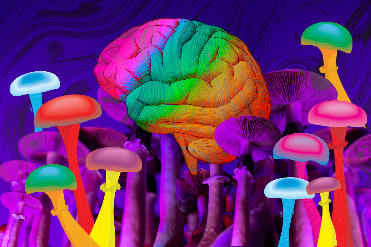 The Role of Data in Psilocybin Research