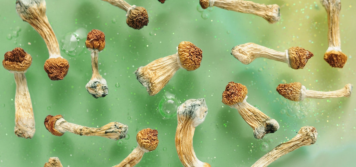 Global Psychedelic Market Outlook for Investors