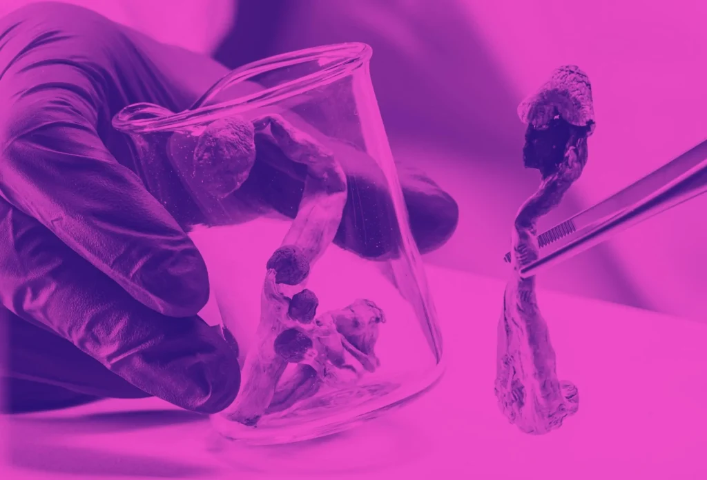 How to Source Research Grade Psilocybin for Institutional Studies