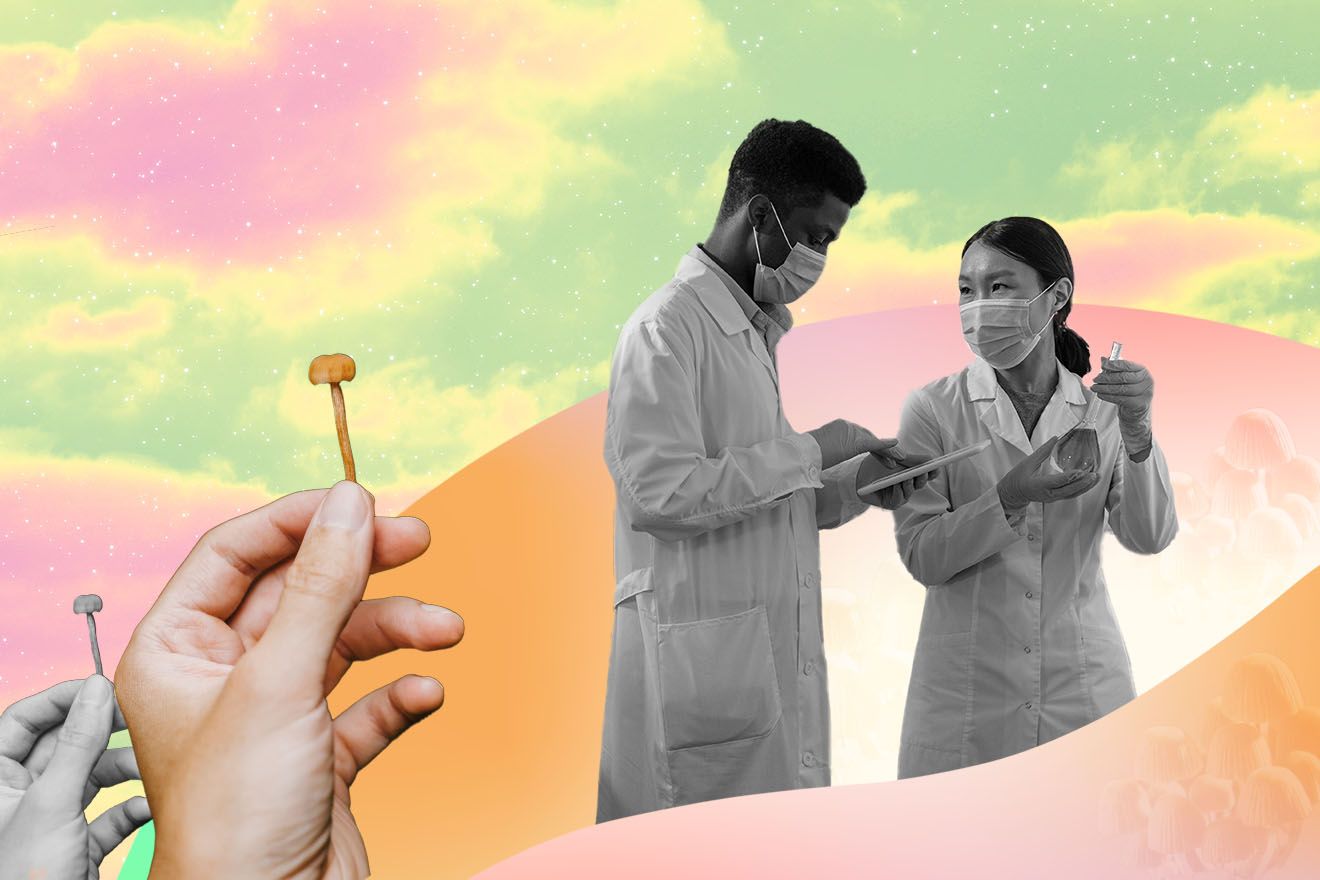 Institutional Funding in Psychedelic Research