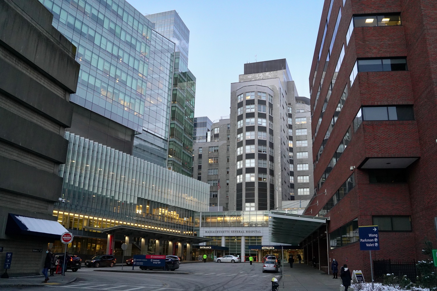 Psilocybin Research Institutions in Massachusetts and Across the United States