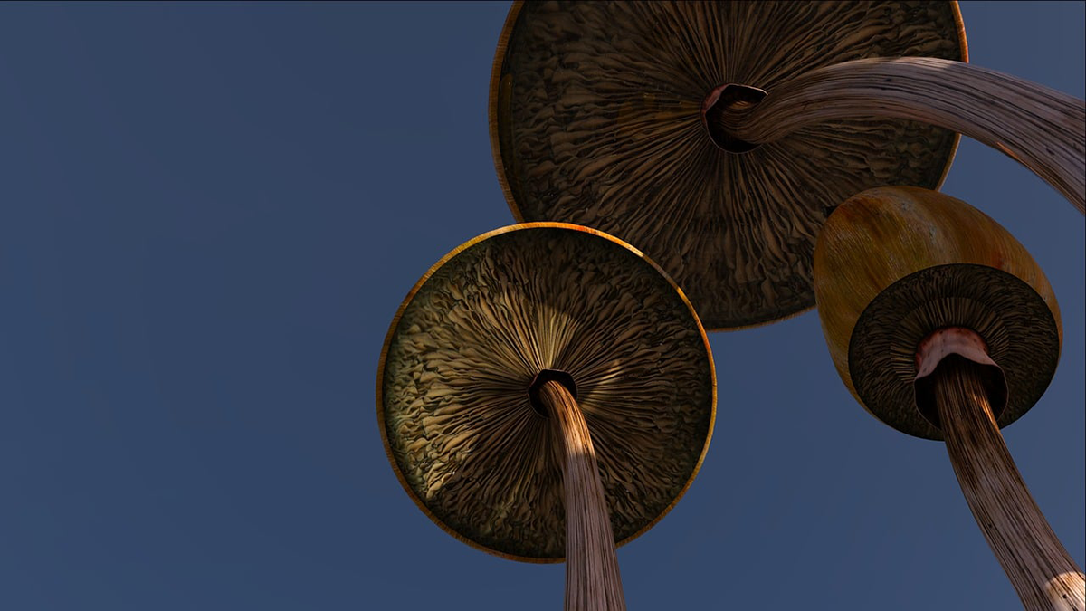 What Psilocybin Research Means for Pharma Investors